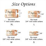 Personalized Engraved Stainless Steel Pet ID Tags