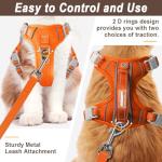 Escape-Proof Cat Harness and Leash Set with ID Pocket