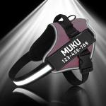 Personalized No Pull Dog Harness with Reflective Design