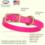 Heavy Duty Waterproof Dog Collar in Passionfruit Pink