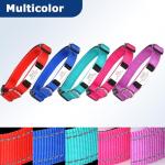 Custom Engraved Reflective Nylon Dog Collar, Purple