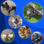 Personalized No Pull Dog Harness with Reflective Design