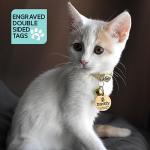 Personalized Stainless Steel Dog Name Tag - Heart