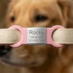 Personalized Silent Pet ID Tag for Dogs & Cats