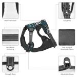 Personalized Reflective Dog Harness with Traction Rope