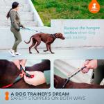 SparklyPets Handsfree Bungee Dog Leash