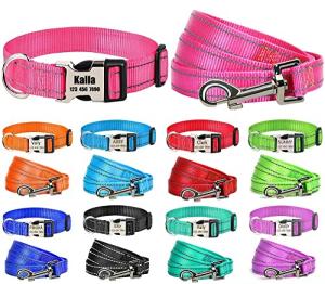 Personalized Reflective Dog Collar and Leash Set
