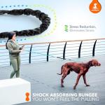 SparklyPets Handsfree Bungee Dog Leash