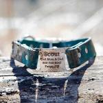 Personalized Waterproof Biothane Dog Collar - Blue