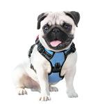 Reflective No Pull Dog Harness with ID Pocket