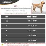 Personalized Reflective Service Dog Vest with Patches