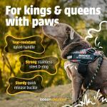 Personalized Reflective No-Pull Dog Harness - Pink