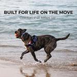 ShawnCo No-Pull Dog Harness with 3 Clips