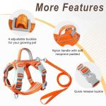 Escape-Proof Cat Harness and Leash Set with ID Pocket