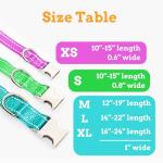 Custom Reflective Dog Collar with Engraved Details