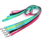 Custom Reflective Dog Leash with Name or Number