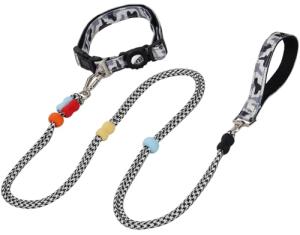 Dog Leash and Collar Set with AirTag Holder
