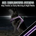 BARKBAY Reflective No Pull Dog Harness - Large