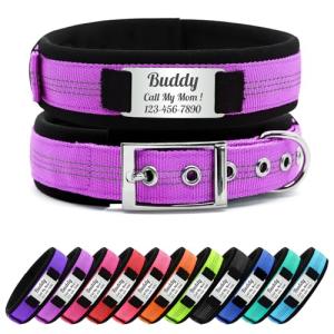 Personalized Reflective Dog Collar with Metal Buckle