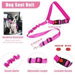 Adjustable No Pull Dog Harness and Leash Set