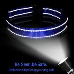 Personalized Reflective Dog Collar and Leash Set