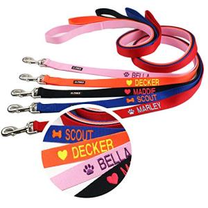 Personalized Embroidered Dog Leash - 6 FT Nylon