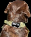 Personalized Reflective Name Patch for Pets or People