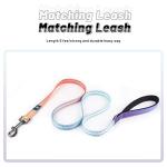 Personalized Small Dog Collar and Leash Set