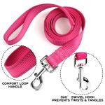 Custom Reflective Dog Leash with Name or Number