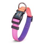 Reflective Small Dog Collar and Leash Set