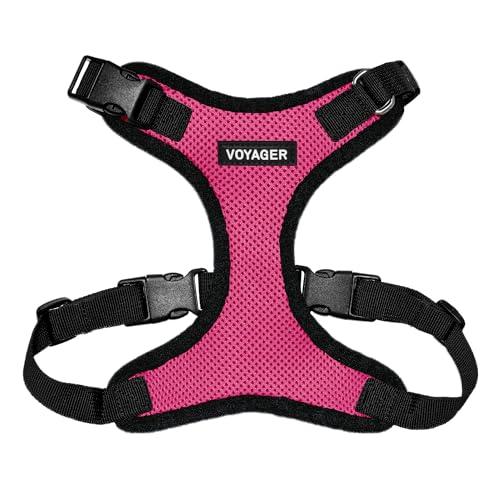 Step‑In Harnesses