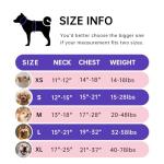 Ivy & Lane Adjustable No Pull Dog Harness