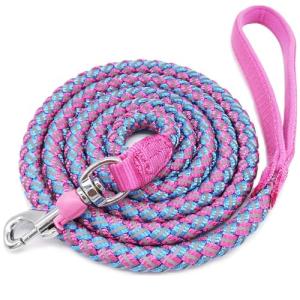 Reflective Nylon Dog Leash - 6ft Pink