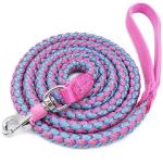 Reflective Nylon Dog Leash - 6ft Pink