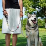 Dog Leash and Collar Set with AirTag Holder