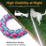 Reflective Nylon Dog Leash - 6ft Pink