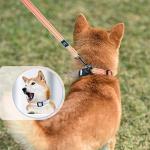 Personalized Small Dog Collar and Leash Set