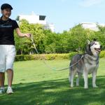 Dog Leash and Collar Set with AirTag Holder