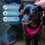 All Weather Adjustable Step-in Pet Harness - Fuchsia
