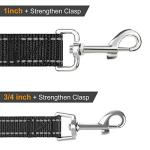 Reflective 6 FT Dog Leash with Padded Handle