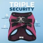 Voyager Step-in Air Harness for Dogs and Cats
