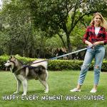 Personalized Small Dog Collar and Leash Set