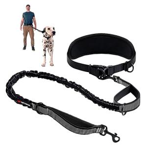 Heavy Duty Hands-Free Dog Leash for Large Dogs