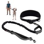 Heavy Duty Hands-Free Dog Leash for Large Dogs