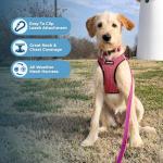 Voyager Step-in Air Harness for Dogs and Cats