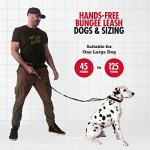 Heavy Duty Hands-Free Dog Leash for Large Dogs