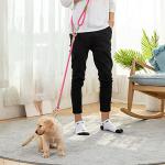 Hands-Free Dog Leash for Running and Hiking