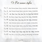 Personalized Engraved Stainless Steel Pet ID Tags