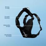 Adjustable All-Weather Pet Harness for Cats and Dogs