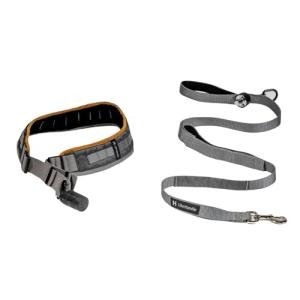 LifeHandle Hands-Free Dog Leash System for Training